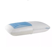 Sealy Dreamlife Memory Gel Foam Pillow 記憶凝膠泡棉枕頭 810143390902