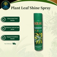 Plant Leaf Shine Spray 600ml Leaf Cleaner & Polisher Indoor Plant Gloss Spray | 植物叶光剂