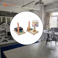 gamchiano DIY Science Experiment Science Kit Sturdy Wooden Model Toy Building Kit Learning