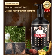【Hot Sell】Old Ginger King Anti-Losing Shampoo Oil Control shampoo Gao Tiya Yuan Biao's Lao Jiang Wan