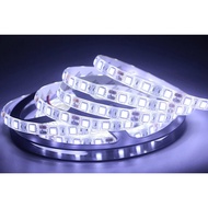 LED STRIP 5050 MATA BESAR IP44 12V LED STRIP PLAFON 12VOLT 5M 300LED WATERPROOF