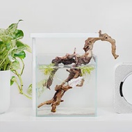 ONF｜Flat Nano+ 桌上型植物燈 水族立燈(純淨白、app控制) 純淨白