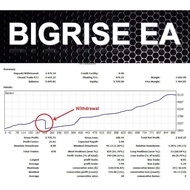 New EA Robot 2021 BigRise EA