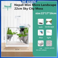 Nepall Crystal Clear Super White Landscape Mini Aquarium Set 22cm Sky City Moss Fish Aquarium Tank 天空之城恐龙蛋超白玻璃小鱼缸