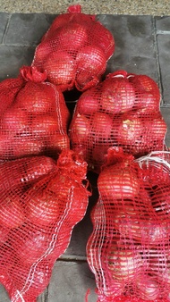 Bawang Merah Besar INDIA GRED A 1.2kg( Harga Borong) HANDPICKED