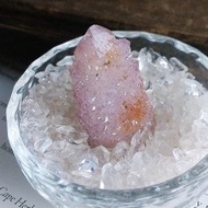 Cactus Amethyst 南非產地 仙人掌紫水晶 天然礦石 原礦