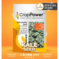 (50 GRAM) Biji Benih Kailan Jepun Marshal 元帅 KL38 CROP POWER F1 Hybrid Japanese Kale seeds 日本芥兰种子 KL 38