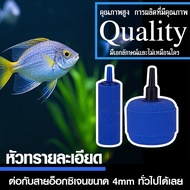 Sand Head Oxygen Increases In The Aquarium. Detailed Tips Mixed Colors There Are 5 Specifications Of