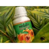 ND Life Apricot Seed