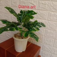 Terlaris! Pohon Monstera#Monstera#Daun Monstera#Monstera Plastik#Bunga