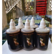 [READYSTOCK] BETTA GIANT BOOSTERS