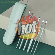 6 Pcs Ear Cleaner Kits Earpick Sticks Earwax Remover Ear Pick Cleaning Ear Cleanser Spoon Earpick Be