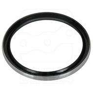 DT Swiss O-ring Hub/Freehub