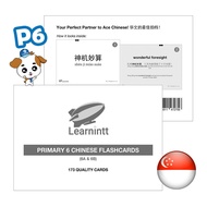 PSLE Chinese Flashcards (P6) - Great for Revision | Includes 造句 | In Chinese and English | 173 Cards