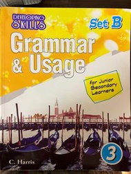 Developing Skills Grammar & Usage set B 3