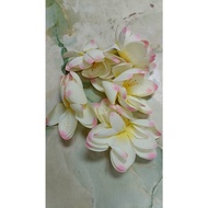 🌹[READY STOCK]🌹OFFER💐💐 LOTUS /HAND BOUQUET / BUNGA LOTUS /BUNGA HIASA...............(S12)      EZ