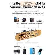 [LOVIVER] Power Amplifier Board Protection Mechanism Audio Receiver Board D900 2.1 Universal for Rad