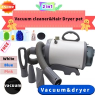 3 pin 6500W 2-in-1 Pet Hair Dryer Vacuum cleaner Dog Cat Grooming Blower Warm Wind Secador Fast Blow