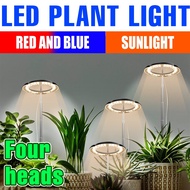 1/2/3/4Heads Full Spectrum USB LED 4-Leaf Clover Plant Light 5V Sunlight RedBlue Timing 8/12/16H Hyd