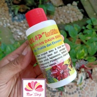 LEAFSHINE Leaf Shine