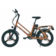 X20 Ebike PAB E-bike SG Product 48V LTA Approved LG cell 20"x2.125 CST ebike tyre with suspension