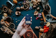 Analogue Apotik Omni Solid Cologne