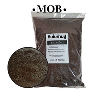 ดินใบก้ามปูหมัก  1 kg. ใบก้ามปูหมักร่อน 100%  ใบก้ามปู  ธรรมชาติ แคคตัส