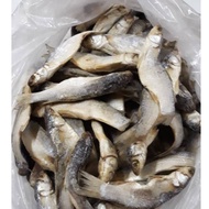 IKAN MASIN BELANAK IKAN BELANAK 500g