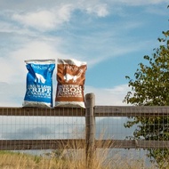 【狗主食】PetKind 野胃 原野牛 天然鮮草肚狗糧 狗飼料 腸胃保健