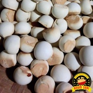 Kue Mino Nopia Spesial Asli Banyumas 300 Gram - Anum Sari
