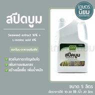 สปีดบูม (Seaweed extract 16% + L-Amino acid 4%) 5 ลิตร
