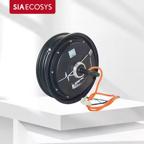 QSMOTOR 10inch Hub Motor 212 800W 60V 30H in-wheel hub motor