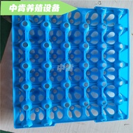 Egg Tray Egg Tray Egg Tray Egg Tray Egg Tray Egg Tray Egg Plastic Egg Tray 8ZWB