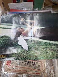 明報周刊海報 李麗珍