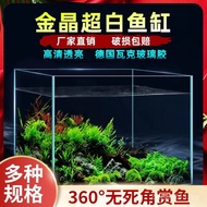 Landscaping Tank Plant Amphibious Amphibious Gold Crystal Fish Tank Inclined Ultra White Tank Glass 