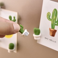 Hole Board Accessories-Cactus Magnet Refrigerator Stickers Succulents Magnet Magnet Magnet Stickers 