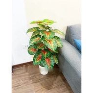 NEW MODEL SOLD AT A LOSS FOR REVIEWS - fake plant - betel nut 1m - 24 leaves to decorate homes, spas