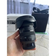 Sigma 24-70mm f2.8 DG DN II