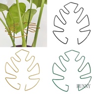 RUNNY Monstera Plant Support Stakes Vertical Growth Monstera Holder for Monstera Plant Indoor and Ou