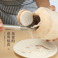 Coconut Opener Coconut Green Coconut Opener Coconut Opener Opener Coconut Opener Coconut Opener Open