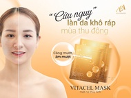 Mặt Nạ Thuỷ Tinh Dạng Thạch Trong Suốt ADA GROUP HỘP 6M