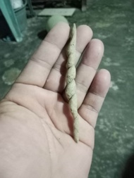 batu mustika puter giling