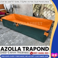 6x10x1 6x10x2 6x10x3 Customize Azolla Pond No Leakage Fish Pond w/ sketch