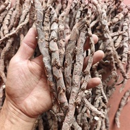 Calamus 1kg whole