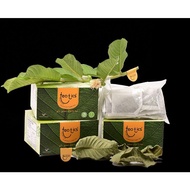 TEATICS Guava Leaf Tea 番石榴花蕾叶茶