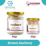 Crystal Of The Sea Powder Food Brown Anchovy || Anchovy Powder for MPASI