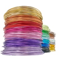 Aluminium Wire for Air Plant & Handicraft | 1mm 1.5mm 2mm colorful Craft Wire | SG stock | Aluminum 