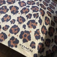 🈹Coach 自動傘