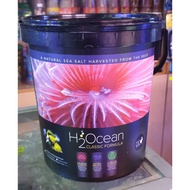 D&D H2Ocean Pro Formula Salt 6.6kg