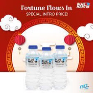 BLUE MARTIN Mineral Water 250ML x 24